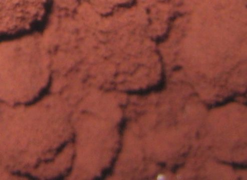 Astaxanthin Powder